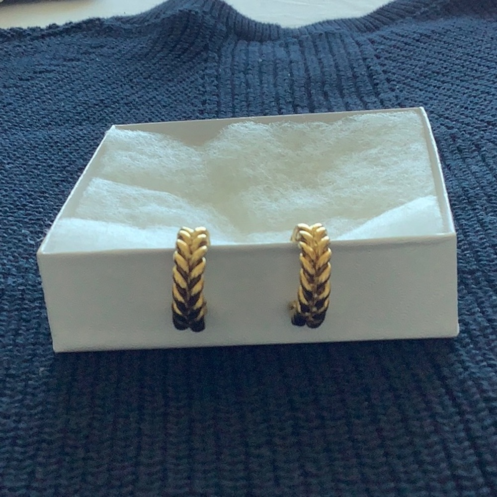 Gold Hoop earrings